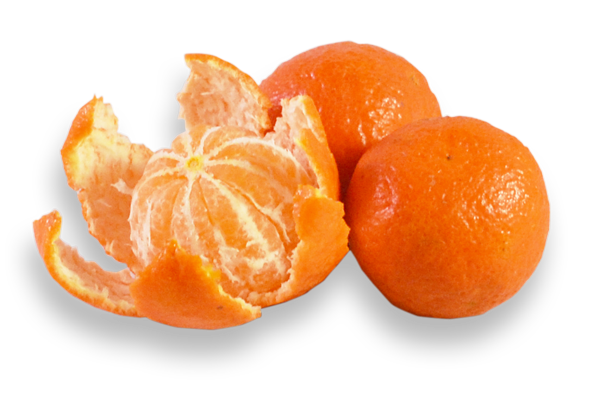 Mandarine bio - Le kg